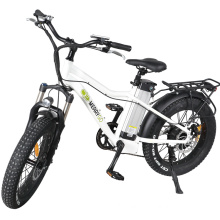 Pedal Small Size Electric Bike Disc Brake Ebike